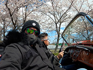 ヒストリックカーで桜ドライブ