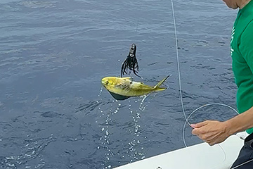 第24回蒲郡ビルフィッシュトーナメント