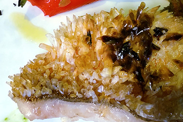 イタリア郷土料理の伝統と改革を目指すmontalcino