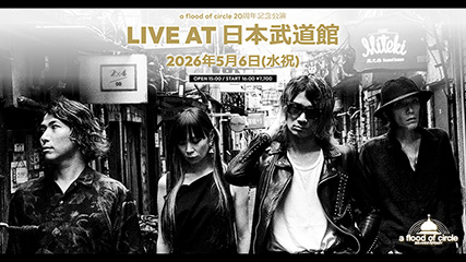 日本武道館ライブ決定！ a flood of circle