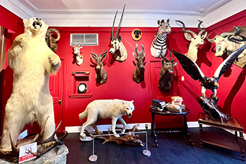 一人黒ちゃんねる in 神戸